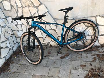 specialized rockhopper pro 29 L