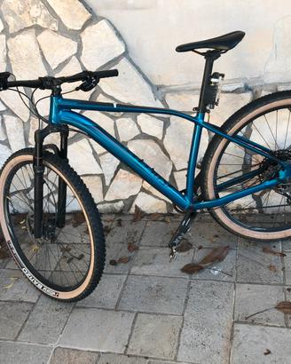 specialized rockhopper pro 29 L