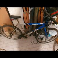 bicicletta mountain bike