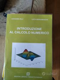 Introduzione al calcolo numerico zilli bergamaschi