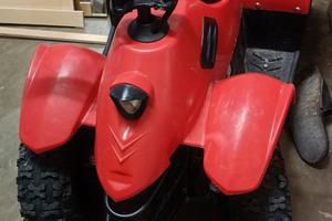 Quad 24v (elettrico)