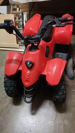 Quad 24v (elettrico)