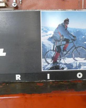 Portabici da tetto