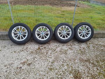 gomme kleber 