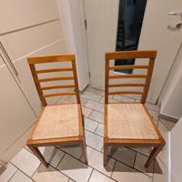 cippia sedie in noce 