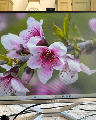ALL IN ONE …. pc TUTTO IN UNO