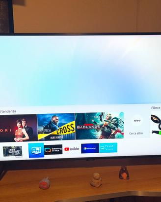 Smart tv Samsung Q60R 49 pollici