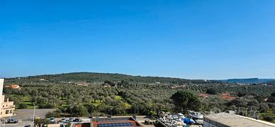 Nuovo Trilocale pressi Conad