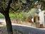 Immagine 13