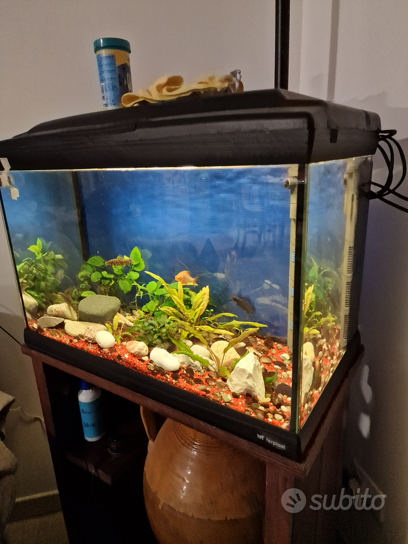 Acquario/Terrario Ferplast Cayman Scenic 150 lt - Accessori per animali In  vendita a Palermo