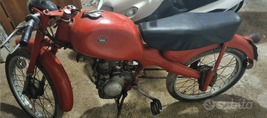Motom 48 Sport Sella Lunga 1960 - Orig. con Lib