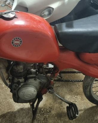 Motom 48 Sport Sella Lunga 1960 - Orig. con Lib