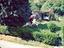 Immagine 17