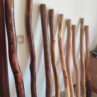 Didgeridoo eucalipto tradizionali  
