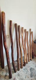 Didgeridoo eucalipto tradizionali  