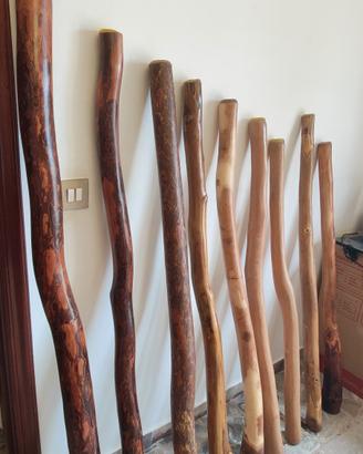 Didgeridoo eucalipto tradizionali  