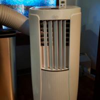 Climatizzatore Pinguino portatile