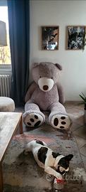 Peluche