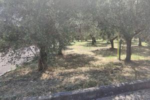 Terreno di 3401 m² a Treglio