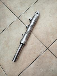 canna forcella lato disco 