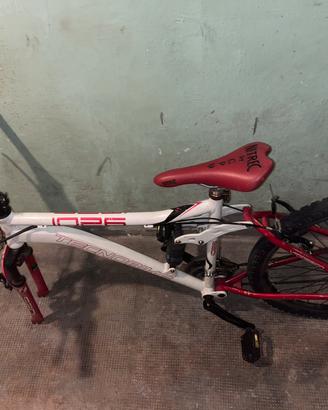 Mountain Bike Tecnobike 1026 Biammortizzata