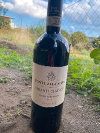 Vino rosso Chianti Classico Fonte della Selva