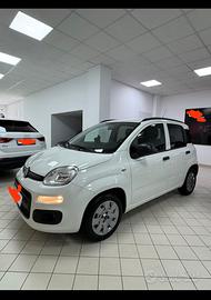 FIAT Panda 2ª serie - 2018