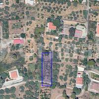 Terreno Agricolo Altavilla Milicia [TerM/7VRG]