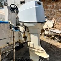 Motore johnson 70 cavalli fuoribordo