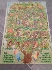 lotto di erinnofili 