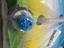 Immagine 2