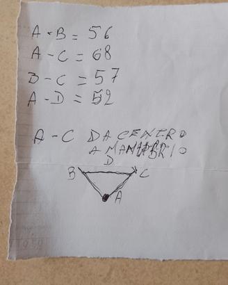 Bicicletta da corsa