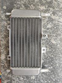 radiatore Gilera runner 