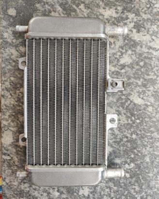 radiatore Gilera runner 