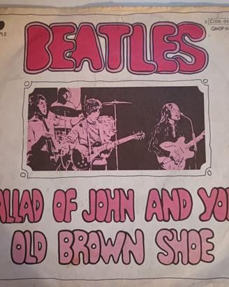 the Beatles 