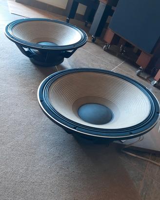 coppia di woofer da 46cn + cabbinet 