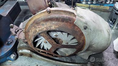 Motore Vespa Struzzo