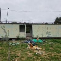 Container