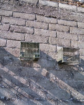 gabbie da caccia + tunnel 