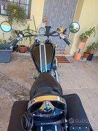 Shadow 600