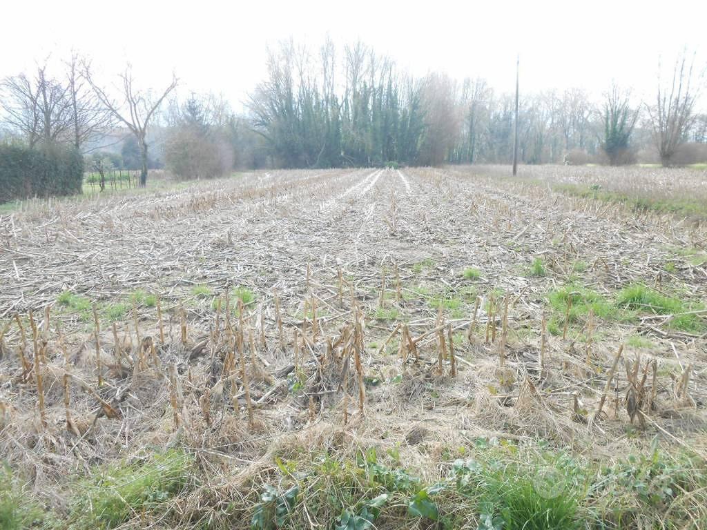 Terreno di 1800 m² a Lucca - Vista 5