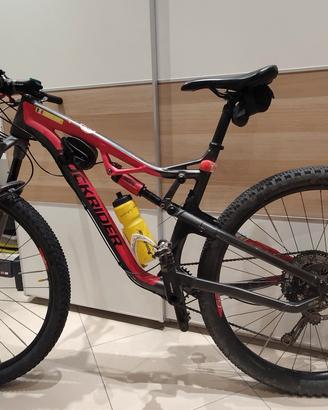 XC 100s