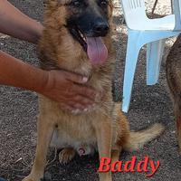 Baddy