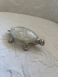 Tartaruga vetro