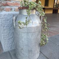Bidone latte vintage