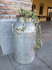 Bidone latte vintage