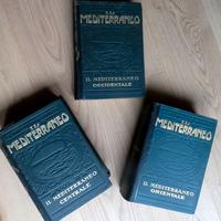IL MEDITERRANEO