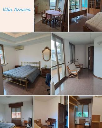 Camere