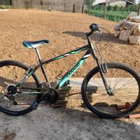Mtb ragazzo