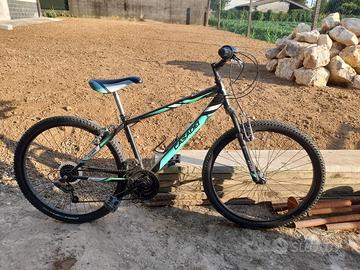 Mtb ragazzo